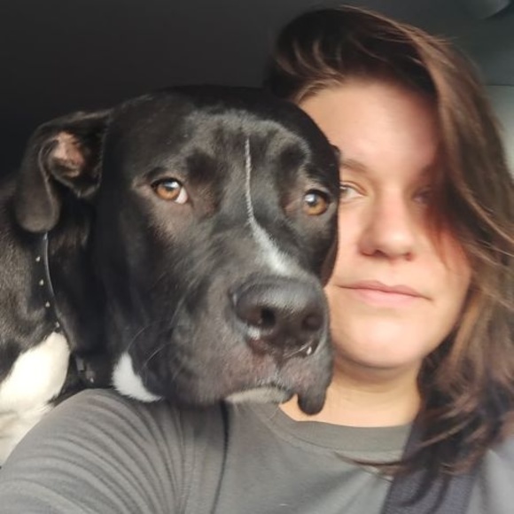 Meet your Posher, Tara - Picture 1 of 1